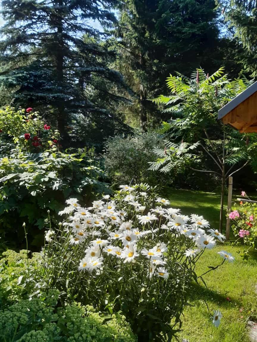 Seidelsferienparadiesgahlenz Екстер'єр фото